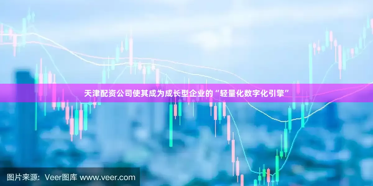 天津配资公司使其成为成长型企业的“轻量化数字化引擎”